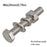 Phillips Head Flat Washer Hex Bolt Round Head Spring Nut Hexagon Head Screw Square Neck Flange Nut Carriage Screw Construction